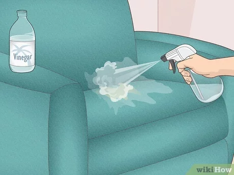How Do You Get Vomit Smell Out of Furniture
