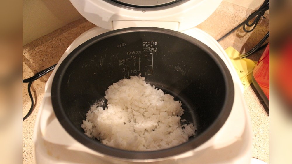 Are Rice Cookers Allowed in Dorms