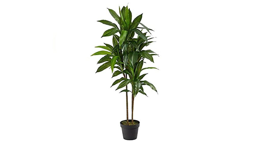 Artificial Plants for Indoors