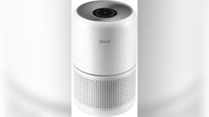 Best Air Purifier for Kitchen Odors