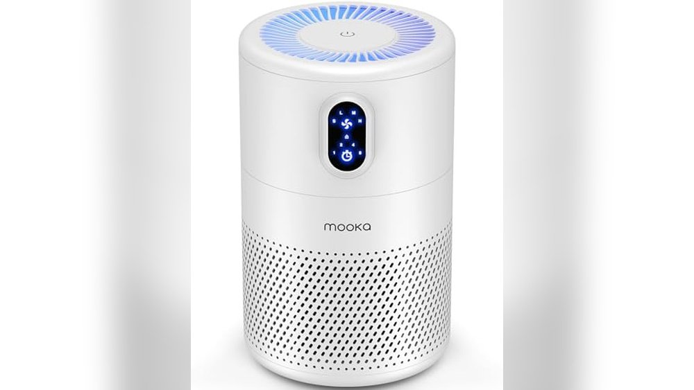 Best Air Purifier for Kitchen Smells