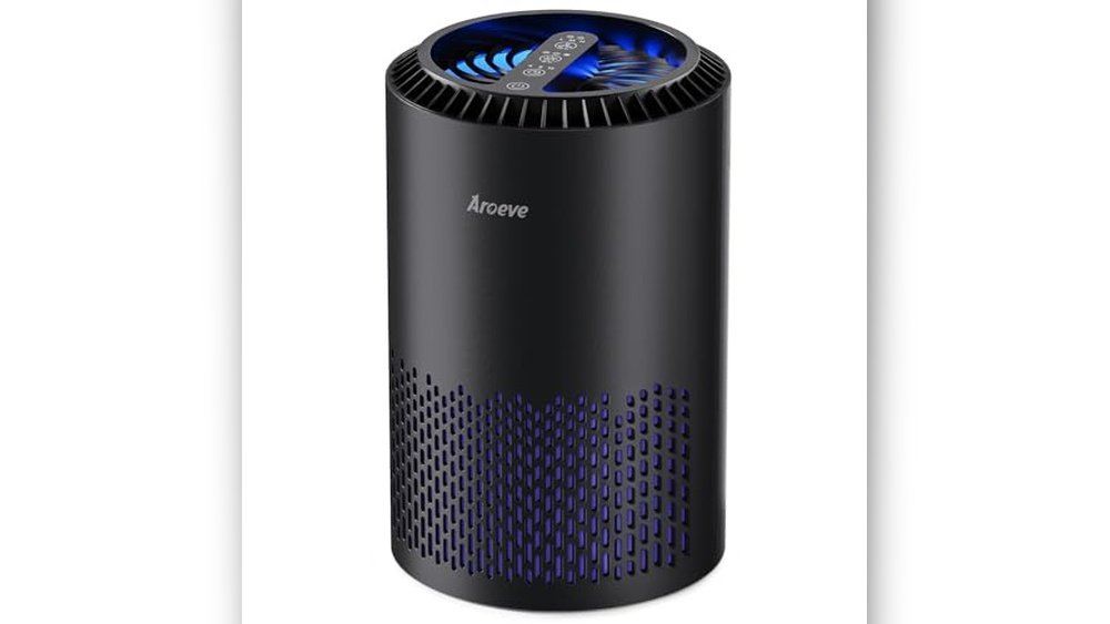 Best Air Purifier for Smoking Weed