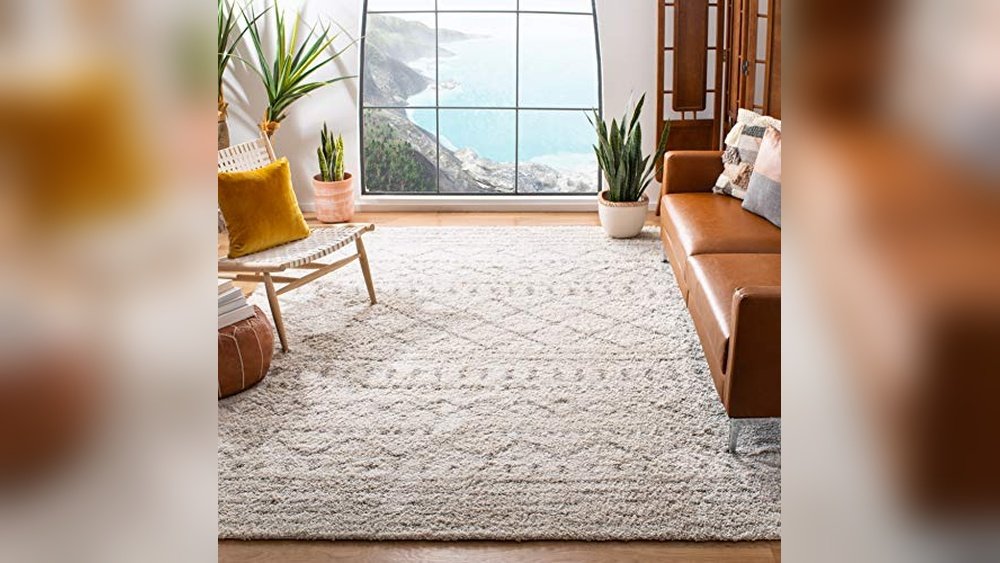 Best Area Rugs for Living Room