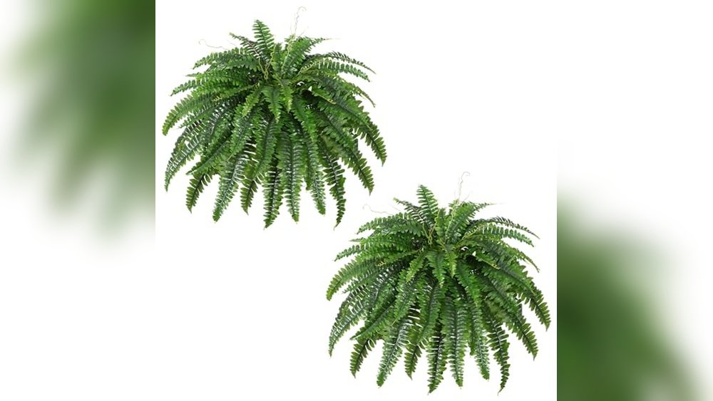 Best Artificial Plants for Outdoors