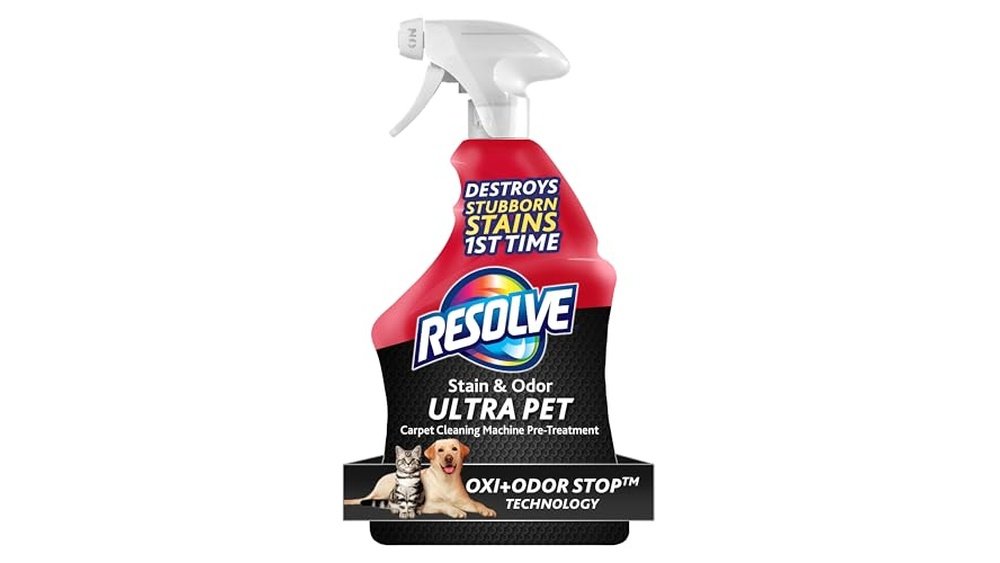 Best Carpet Cleaners for Pet Urine