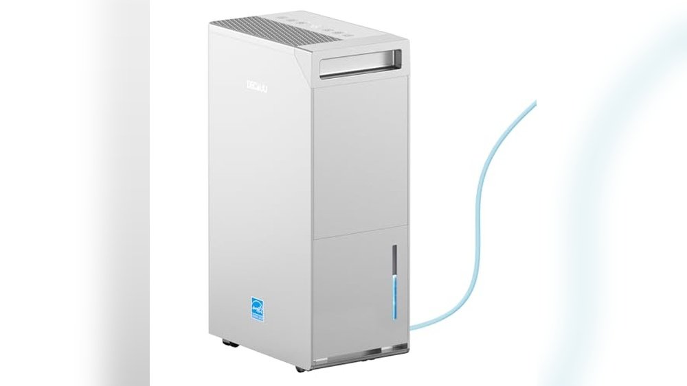 Best Dehumidifier With Pump for Basement