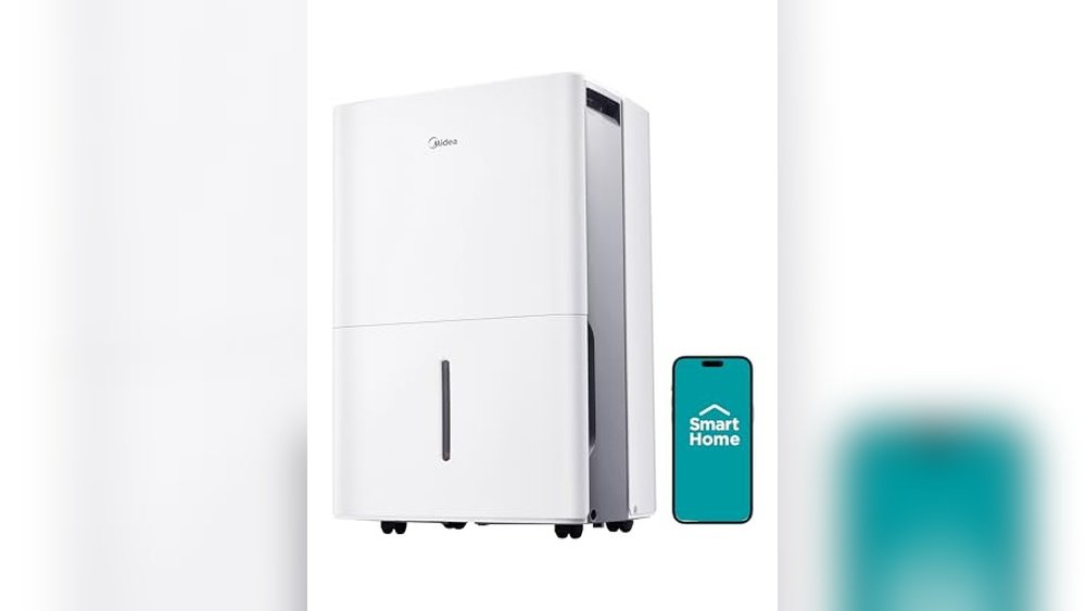 Best Dehumidifier With Pump