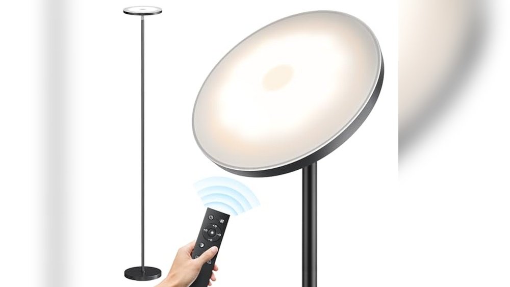 Best Floor Lamps for Office