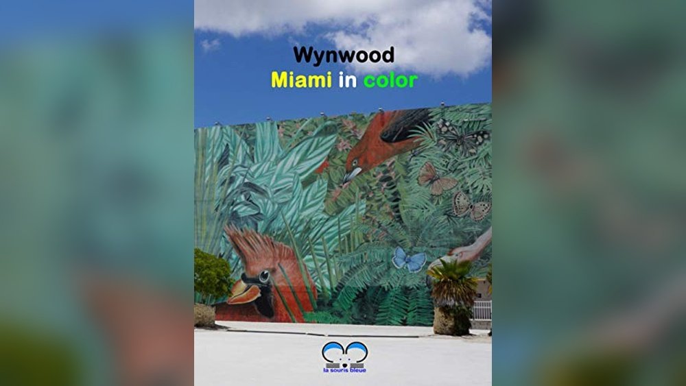Best Neighborhood in Miami for Art Lovers Wynwood Walls
