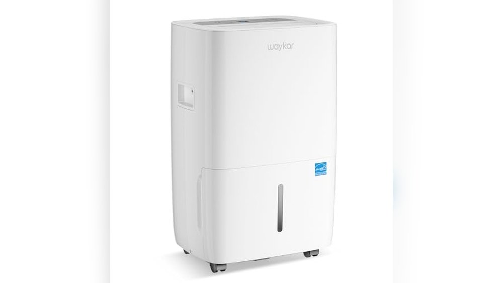 Best Whole House Dehumidifier