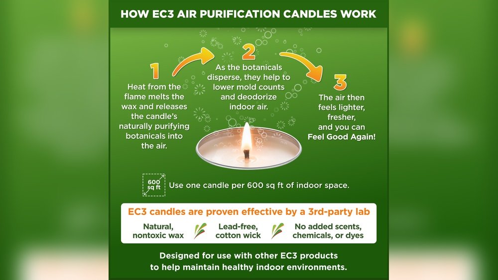Do Beeswax Candles Purify the Air