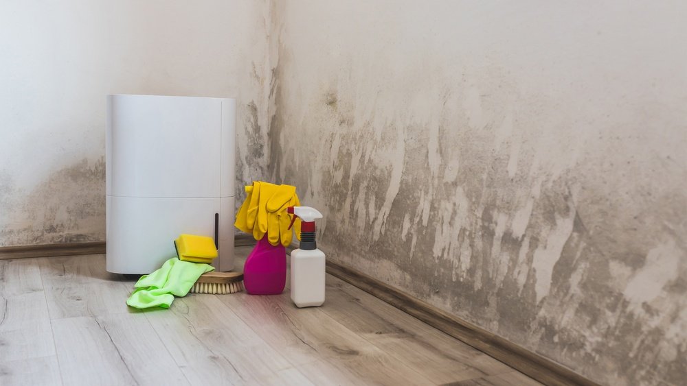 Do Dehumidifiers Help With Mold