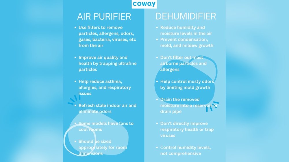 Does an Air Purifier Help With Humidity