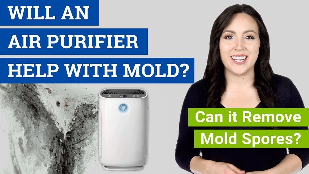 Does an Air Purifier Help With Mold