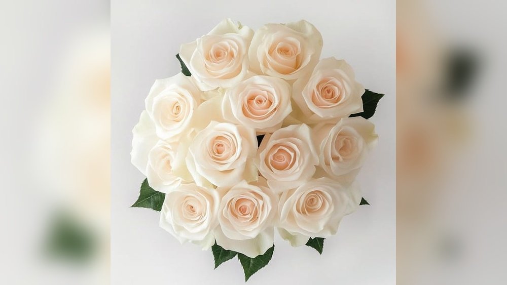 Does Roses Sell Vacuum Cleaners