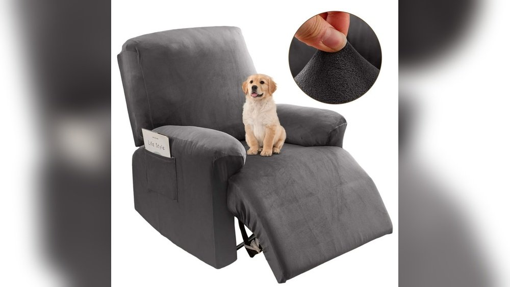 How Many Cats Die from Recliner Chairs