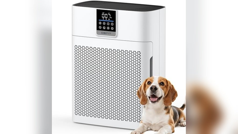 Where is the Best Place to Put Air Purifier